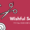 Best Salon Bhubaneswar